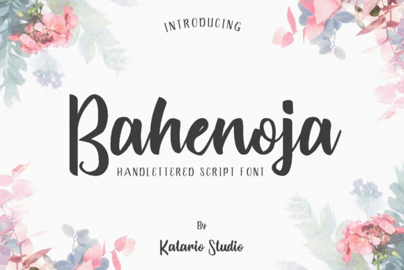 Bahenoja Handwritten Typeface for Modern Web Design