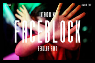 Faceblock: A Modern Sans Serif Font for Clean Branding and Labels