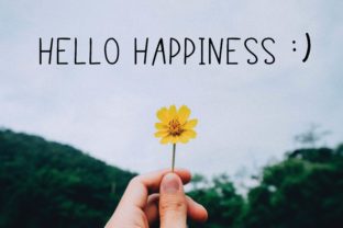 Hello Happiness: A Sweet Script for Modern Design
