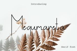 Megumareta: The Modern Serif Font for Professional Small Business Branding