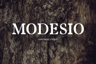 Modesio: A Unique Serif Font for Editorial Elegance