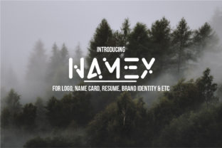 Namex Typeface: A Cool Sans Serif for Modern Digital Branding
