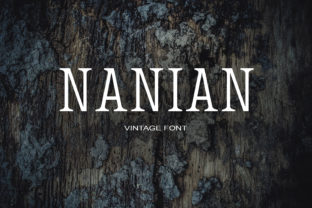 Nanian Typeface: Modern Serif Fonts for Professional Branding