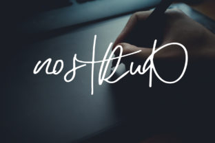 Nostrud Font Review: Download & Design Guide