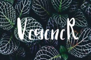 Vegener Typeface Review: A Natural Handwritten Font for Editorial Design
